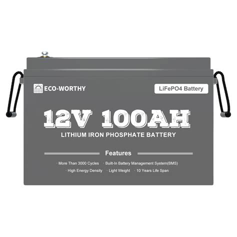 Eco Worthy 12V 100ah Energy Storage New Batteries Buy LiFePO4 BMS