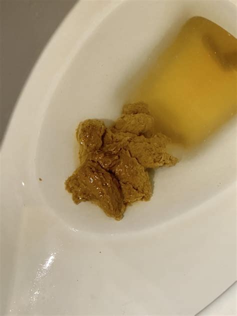 Longest Poop Without Breaking Rate My Poo Rratemypoo