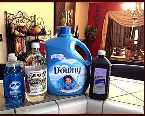 Diy Carpet Cleaner For A Machine 1 Gallon Hot Water 12 Cup Peroxide 4