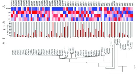 Classification And Expression Of FAD Genes A Phylogenetic Analysis