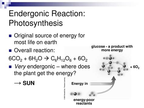 Ppt Energy Enzymes And Biological Reactions Powerpoint Presentation