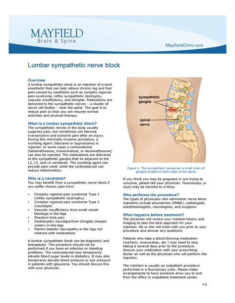 Salud Educaci N Overview A Lumbar Sympathetic Block Is An