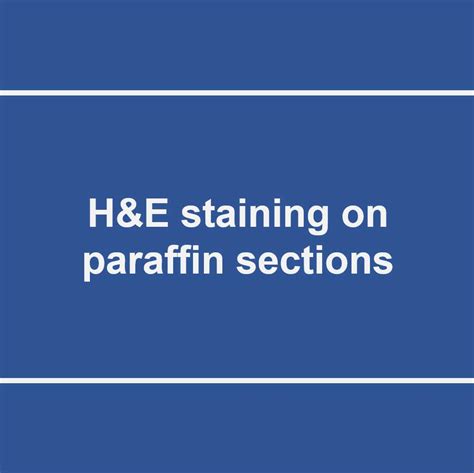 H E Staining On Paraffin Sections