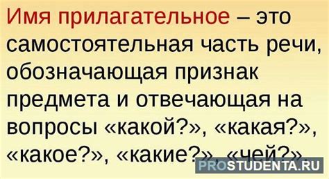Что такое прилагательное, на какие вопросы отвечает, постоянные и ...