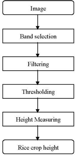 The Rice Crop Height Measurement Flowchart Download Scientific Diagram