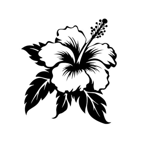 Premium Vector | Hibiscus black and white vector template set for ...