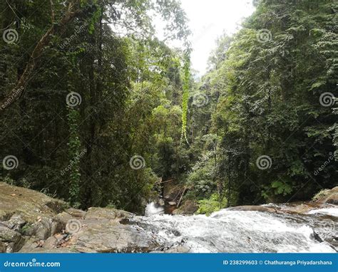 Sinharaja Rainforest Waterfalls In Sri Lanka And Deniyaya District