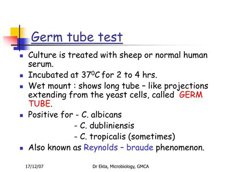 Ppt Systemic Mycosis Powerpoint Presentation Free Download Id4247898