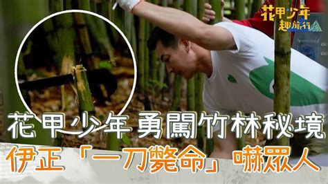 花甲少年勇闖竹林秘境！伊正砍桂竹筍「一刀斃命」嚇壞眾人！【 花甲少年趣旅行】20230729 Ep54 Part4｜🚐苗栗｜伊正 林美秀 陳漢典 黃姵嘉 Youtube