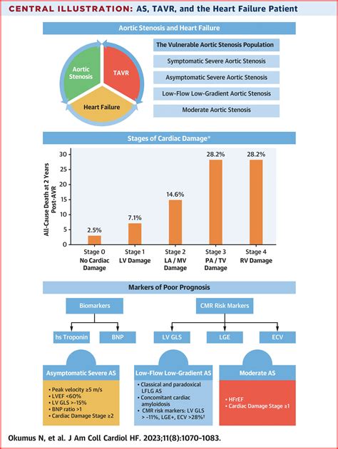 Aortic Valve Disease, Transcatheter Aortic Valve Replacement, and the