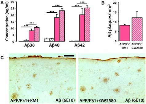 CSF1R Inhibition Does Not Alter The Levels Of Amyloid B A