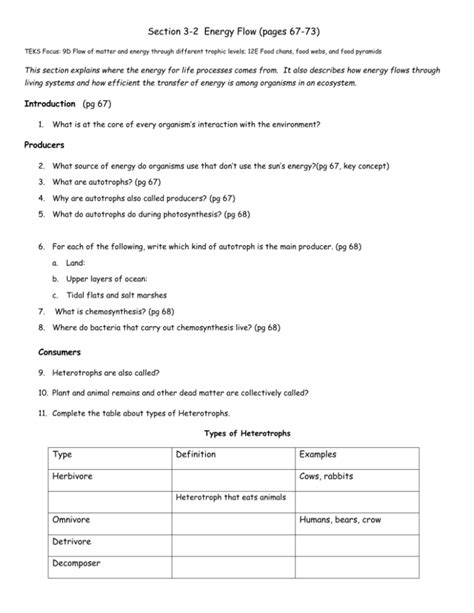 Energy Flow Worksheet