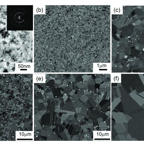 Microstructure Of Hpt Produced 316ln Steels Annealed At Different