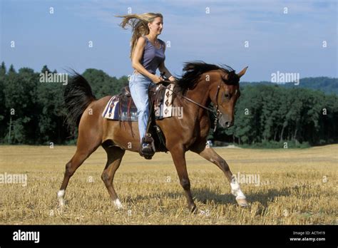 Frau Reitet Pictures Telegraph