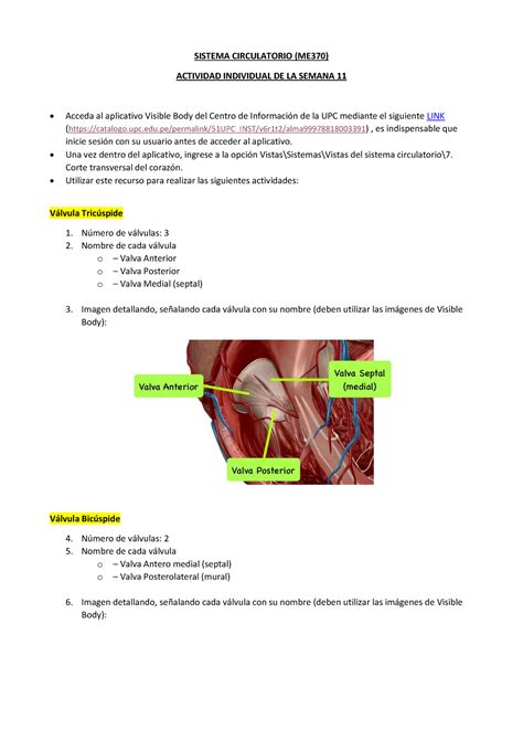 ME370 SC Tarea Sem11 SISTEMA CIRCULATORIO ME 370 ACTIVIDAD