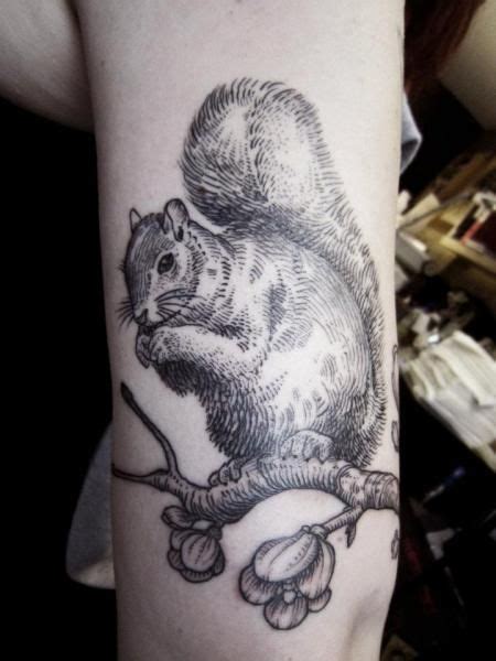 Best Realistic Squirrel Tattoo Images Squirrel Tattoo Squirrel