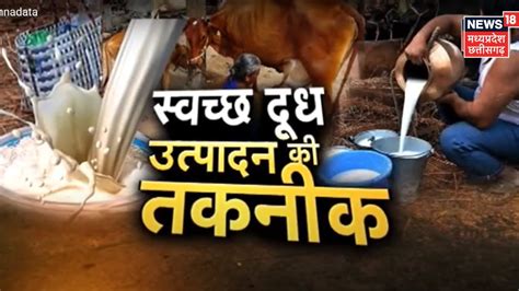 Annadata स्वच्छ दूध का उत्पादन कैसे करें बढ़ाएं किसान दूध से आय Milk Production Breaking