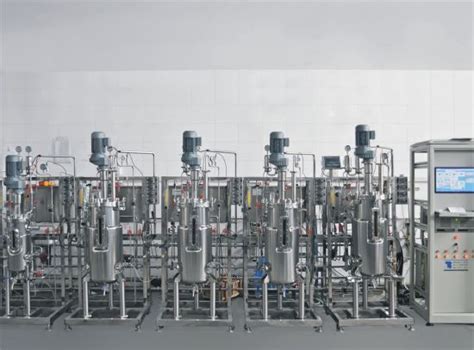 16.5 Gallon Stainless Steel Pseudomonas Aeruginosa Non Fermenter with ...