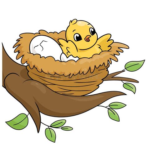 Baby Bird In A Nest On White Background Stock Vector Illustration Of