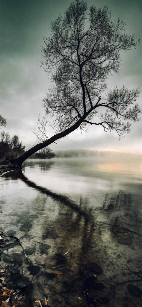 mysterious wallpaper ixpap