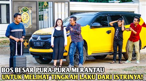 Bos Besar Pura Merantau Untuk Melihat Tingkah Laku Istrinya Tak