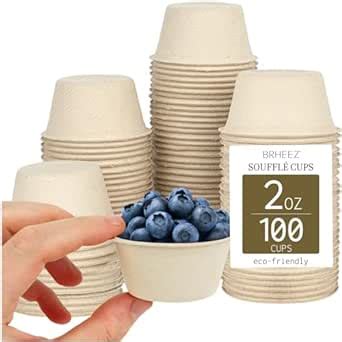 Brheez Natural Bagasse Disposable Portion Souffle Cups 2 Oz Perfect