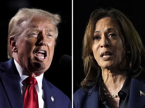 Latino Voters In Focus As Trump And Harris Sketch Out The Campaigns Final 2 Weeks Wgcu Pbs