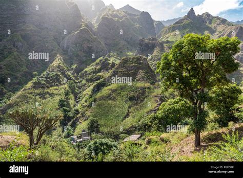 Africa Cape Verde Santo Antao Panoramic View Of The Paul Valley With