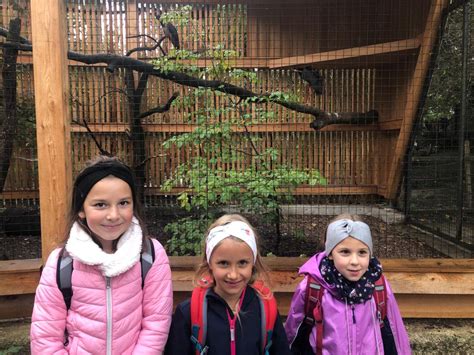 Tiergarten Wels Volksschule Der Franziskanerinnen In Attnang Puchheim