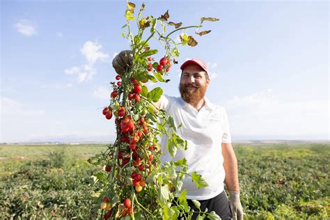 Organic Farming Capobianco Farm