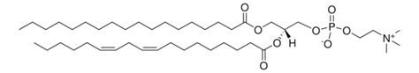 Pe Stearoyl Linoleoyl Sn Glycero Phosphoethanolamine