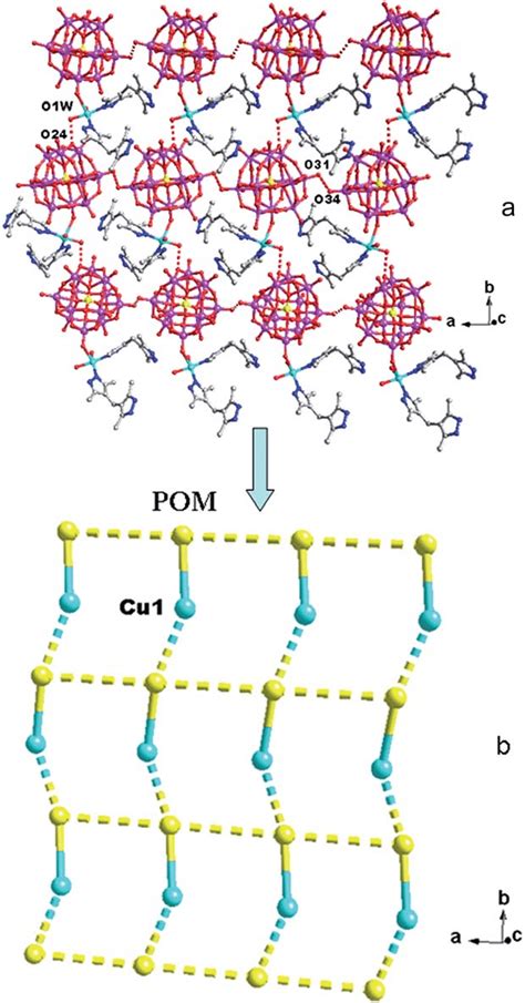 The 2d Supramolecular Layer A And Its Schematic View B Of 1 Download Scientific Diagram