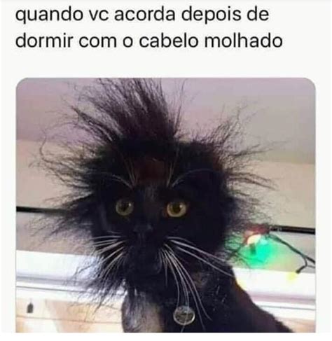 Quando Vc Acorda Depois De Dormir O Cabelo Molhado Memes