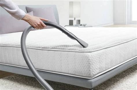 How To Steam Clean A Mattress Cleanerprofy