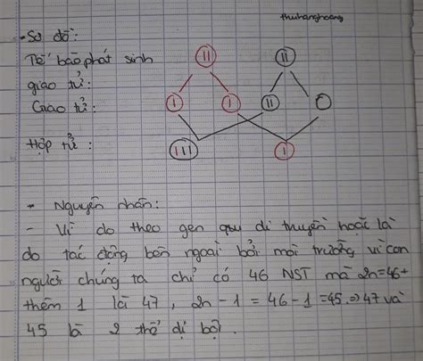 Vẽ sơ đồ và giải thích nguyên nhân phát sinh các thể dị bội 2n 1 2n