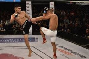 Shooto Brazil adopts new weight classes, will crown super lightweight ...