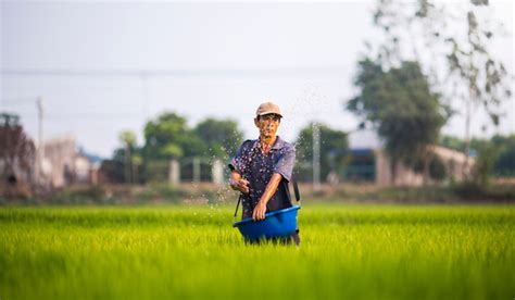 important  work hard