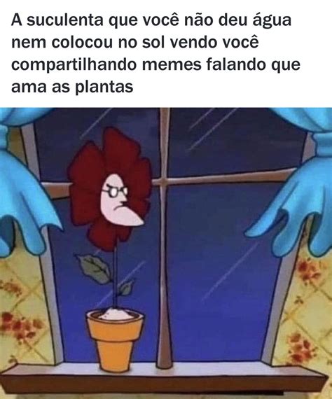 A suculenta que você não deu água nem colocou no sol vendo você