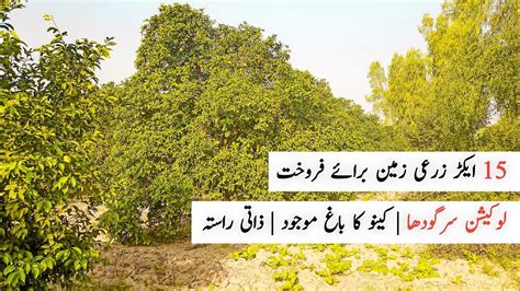 15 Acer Agriculture Land For Sale In Sargodha Punjab Pakistan Zari