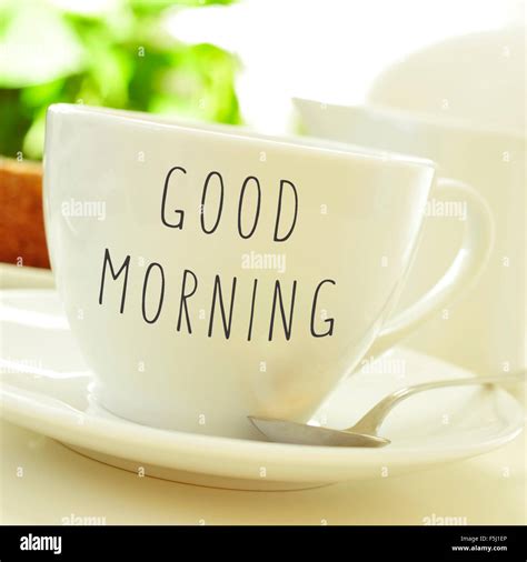 Top 999 Good Morning Tea Images Amazing Collection Good Morning Tea