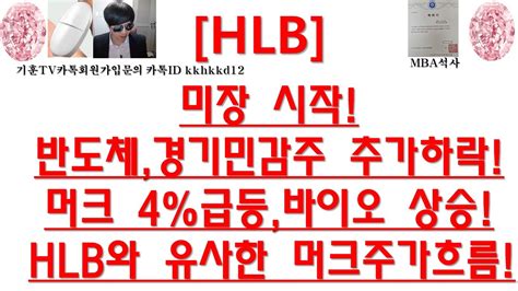 주식투자 Hlb미장 시작반도체경기민감주 추가하락머크 4급등바이오 상승hlb와 유사한 머크주가흐름 Youtube