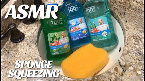 Asmr Mr Clean Cleaners Combo Sponge Squeezing Youtube