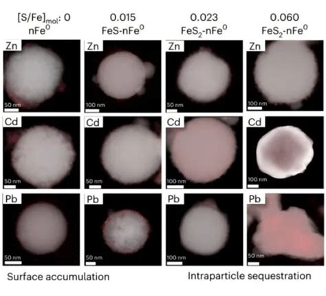 Anhui Absorption Spectrum Rapidxafs Facilitates The Characterization Of