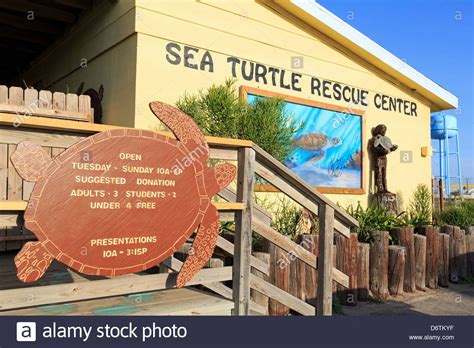 Sea Turtle Rescue Center South Padre Island Texas South Padre