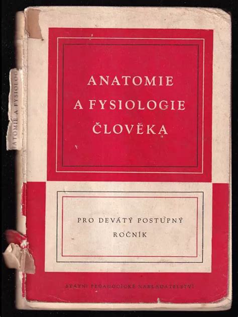 Anatomie A Fysiologie Lov Ka Pro Postup Ro N K Kol V Eobec