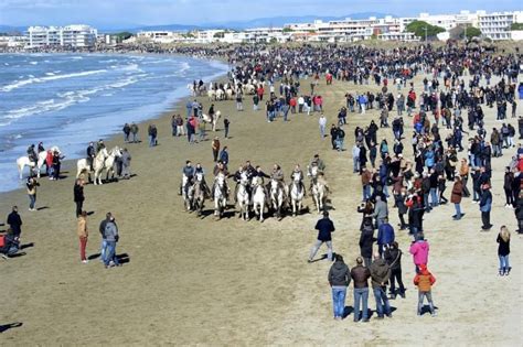 Gard La C L Bre Abrivado Des Plages Au Grau Du Roi Cest Ce Samedi