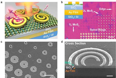 Figure From Tailoring Mos Exciton Plasmon Interaction By Optical