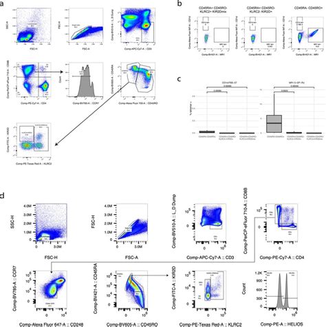 Flow Cytometry Gating Strategies For Hobithelios Cd8 T Cells In Fig Download Scientific