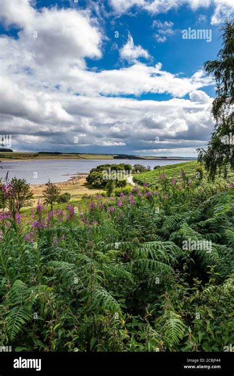 Derwent Resovoir From Pow Hill Country Park County Durham England Uk