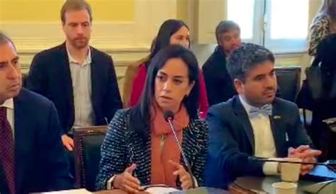 Senadora Núñez Por Subsecretario Araos “su Permanencia En El Cargo Sólo Profundiza Y Extiende